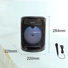 Hordozható LED Hangszóró ZQS 6113