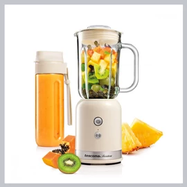 PRESIDENT smoothie mixer 0,6 l,  90903011