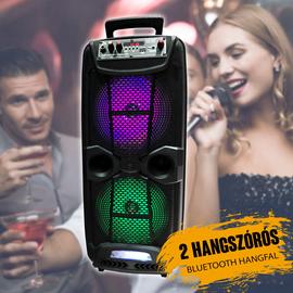 Karaoke hangfal dupla hangszóróval CH8801