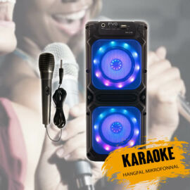 Ledes karaoke hangfal FVO238