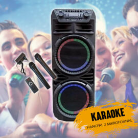 Meirende 12 inch karaoke hangfal 2 mikrofonnal MR1209
